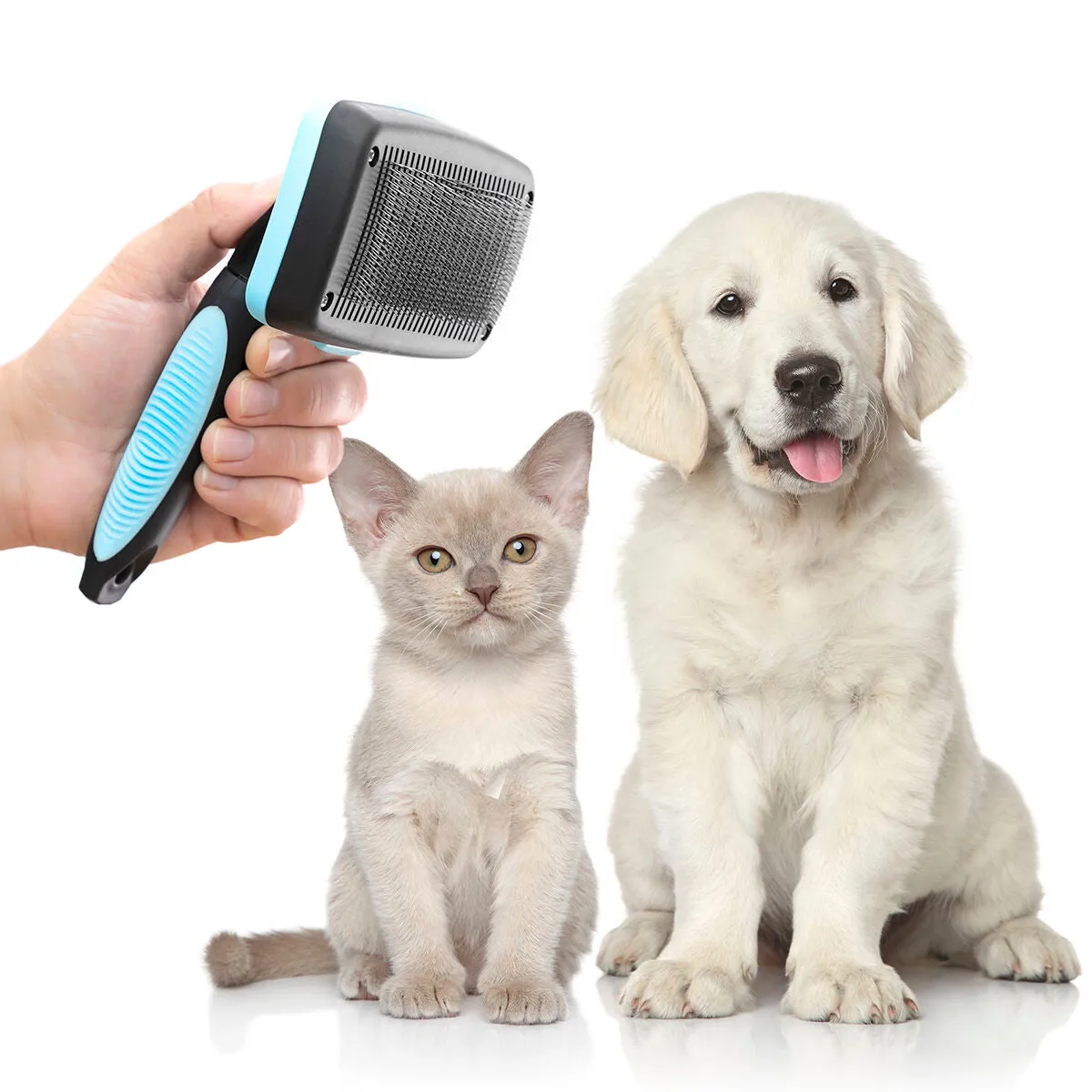 Cleaning Brush for Pets with Retractable Bristles Groombot InnovaGoods