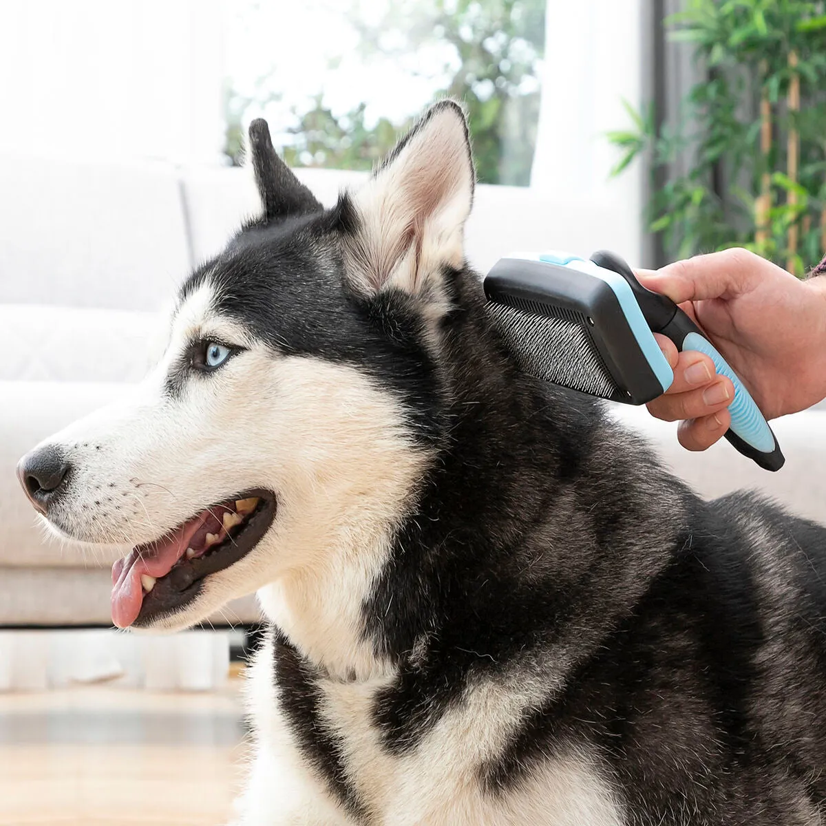 Cleaning Brush for Pets with Retractable Bristles Groombot InnovaGoods