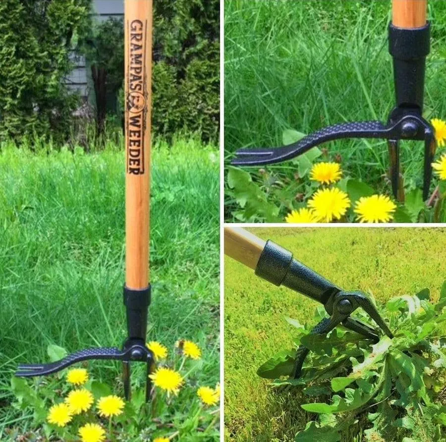 Grampa's Weeder - The Original Stand Up Weed Puller Tool With Long Handle - Made With Real Bamboo & 4-Claw Steel Head Design - Easily Remove Weeds Without Bending, Pulling, or Kneeling