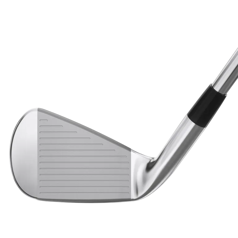 Mizuno Pro 245 Custom Irons